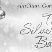 24th Annual AmCham Governors' Ball - Silver Ball